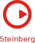 Steinberg logo